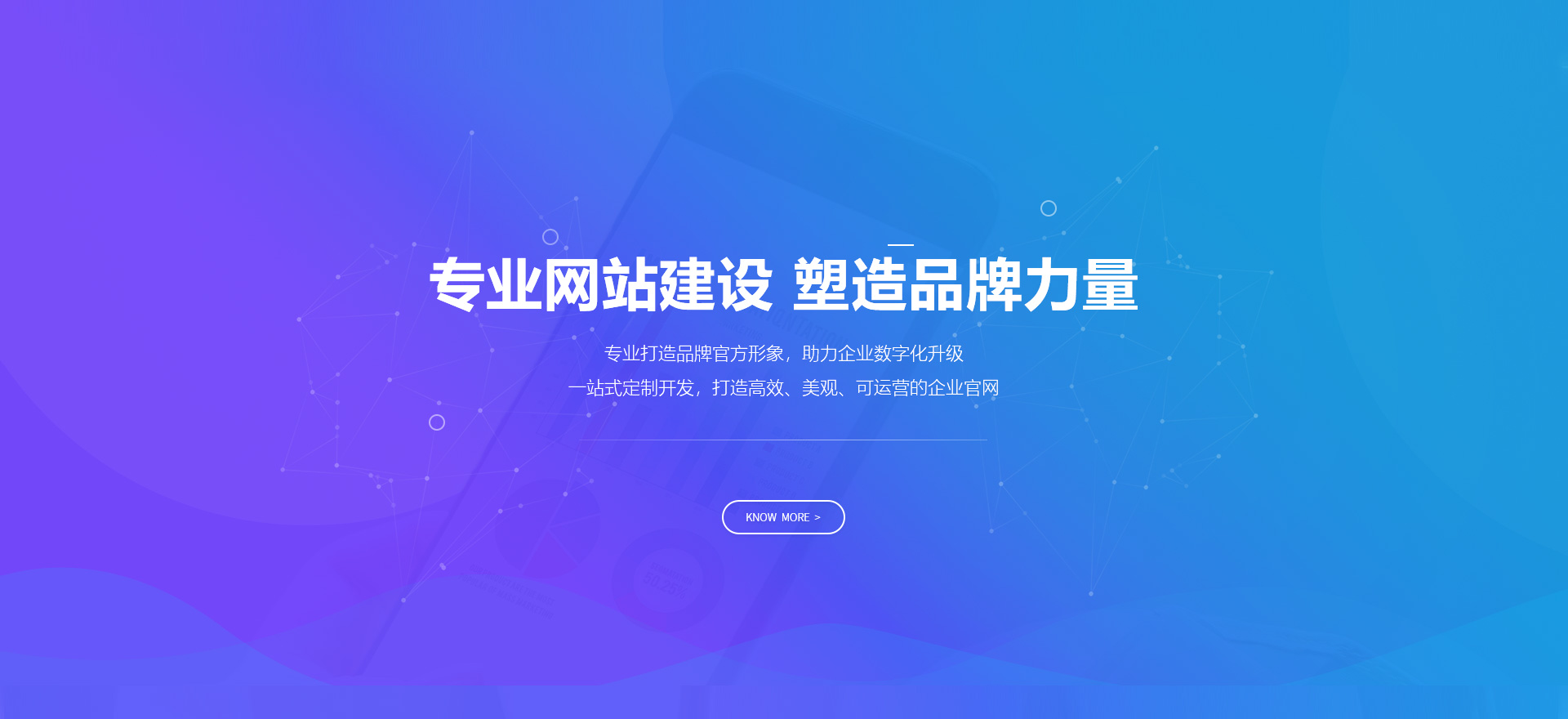 海南建站-专业网站建设 塑造品牌力量
