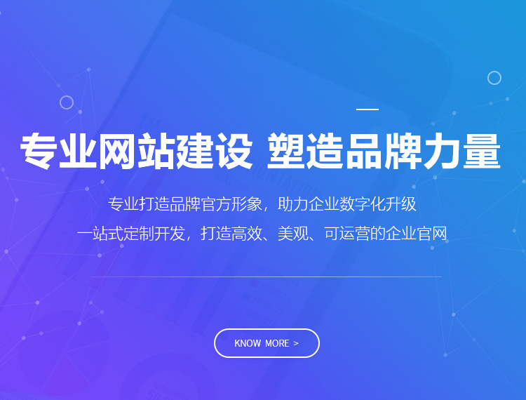 海南建站-专业网站建设 塑造品牌力量
